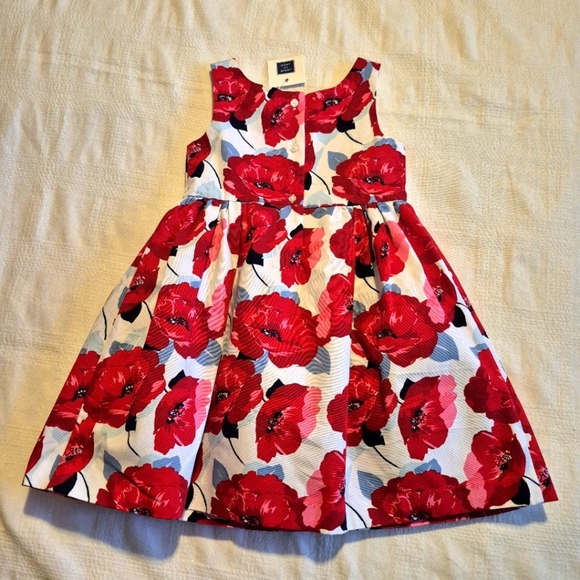 Janie and Jack girls size 3 Poppy Park lined dress NWT - Picture 4 of 7